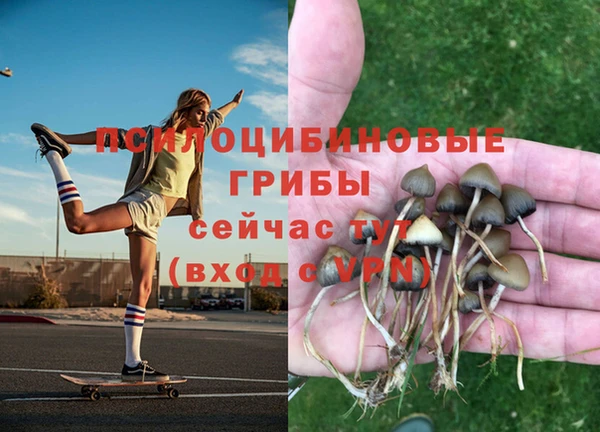 гидропоника Зеленокумск