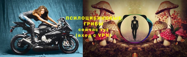 гидропоника Зеленокумск