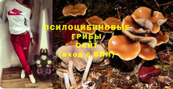 ГАЛЛЮЦИНОГЕННЫЕ ГРИБЫ Зерноград