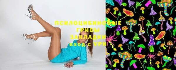 ГАЛЛЮЦИНОГЕННЫЕ ГРИБЫ Зерноград