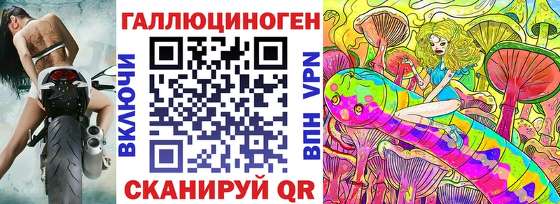 Купить закладки  Богородск  Галлюциногенные грибы Psilocybe 